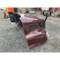 FREIGHTLINER CASCADIA P3 HOOD thumbnail 7