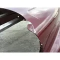 FREIGHTLINER CASCADIA P3 HOOD thumbnail 3