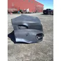 FREIGHTLINER CASCADIA P3 Hood thumbnail 5