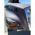 FREIGHTLINER CASCADIA P4 Hood thumbnail 2