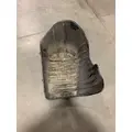 FREIGHTLINER CASCADIA  FENDER-INNER thumbnail 3