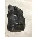 FREIGHTLINER CASCADIA  FENDER-INNER thumbnail 3