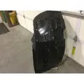 FREIGHTLINER CASCADIA  FENDER-INNER thumbnail 2