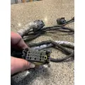 FREIGHTLINER CASCADIA Body Wiring Harness thumbnail 7