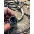 FREIGHTLINER CASCADIA Body Wiring Harness thumbnail 8