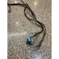 FREIGHTLINER CASCADIA Body Wiring Harness thumbnail 9