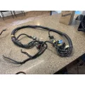 FREIGHTLINER CASCADIA Body Wiring Harness thumbnail 1