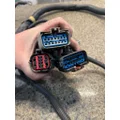 FREIGHTLINER CASCADIA Body Wiring Harness thumbnail 3