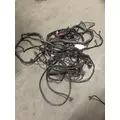 FREIGHTLINER CASCADIA Body Wiring Harness thumbnail 6