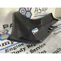 FREIGHTLINER CASCADIA Bumper Assembly, Front thumbnail 5