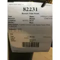 FREIGHTLINER CASCADIA Bumper Filler Panel thumbnail 7