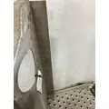 FREIGHTLINER CASCADIA Catwalk thumbnail 3