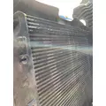 FREIGHTLINER CASCADIA Charge Air Cooler (ATAAC) thumbnail 4