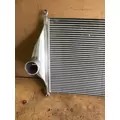 FREIGHTLINER CASCADIA Charge Air Cooler (ATAAC) thumbnail 6
