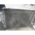 FREIGHTLINER CASCADIA Charge Air Cooler (ATAAC) thumbnail 2