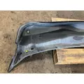 FREIGHTLINER CASCADIA Cowl thumbnail 5