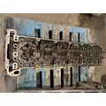 FREIGHTLINER CASCADIA Cylinder Head thumbnail 1