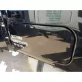 FREIGHTLINER CASCADIA Door Assembly, Rear or Back thumbnail 1