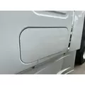 FREIGHTLINER CASCADIA Door Assembly, Rear or Back thumbnail 1