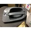 FREIGHTLINER CASCADIA Door Handle thumbnail 1