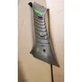 FREIGHTLINER CASCADIA Door Panel (Trim) thumbnail 4