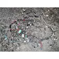 FREIGHTLINER CASCADIA Electrical Parts, Misc. thumbnail 1