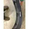 FREIGHTLINER CASCADIA FENDER EXTENSION thumbnail 3