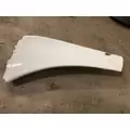 FREIGHTLINER CASCADIA Fender thumbnail 2