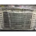 FREIGHTLINER CASCADIA Grille thumbnail 10