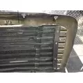 FREIGHTLINER CASCADIA Grille thumbnail 9