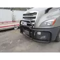 FREIGHTLINER CASCADIA Grille thumbnail 1