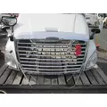 FREIGHTLINER CASCADIA HOOD thumbnail 13