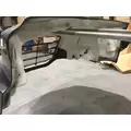 FREIGHTLINER CASCADIA Hood thumbnail 5