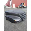 FREIGHTLINER CASCADIA Hood thumbnail 7