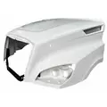 FREIGHTLINER CASCADIA Hood thumbnail 2