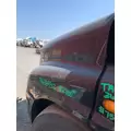 FREIGHTLINER CASCADIA Hood thumbnail 3