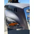 FREIGHTLINER CASCADIA Hood thumbnail 2