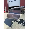 FREIGHTLINER CASCADIA Hood thumbnail 4