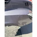 FREIGHTLINER CASCADIA Hood thumbnail 8