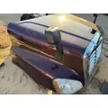 FREIGHTLINER CASCADIA Hood thumbnail 3