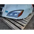 FREIGHTLINER CASCADIA Hood thumbnail 5