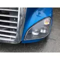 FREIGHTLINER CASCADIA Hood thumbnail 15