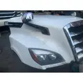 FREIGHTLINER CASCADIA Hood thumbnail 14