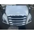 FREIGHTLINER CASCADIA Hood thumbnail 15