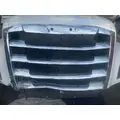 FREIGHTLINER CASCADIA Hood thumbnail 16