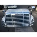 FREIGHTLINER CASCADIA Hood thumbnail 14