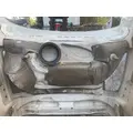 FREIGHTLINER CASCADIA Hood thumbnail 7