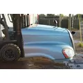 FREIGHTLINER CASCADIA Hood thumbnail 5