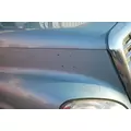 FREIGHTLINER CASCADIA Hood thumbnail 6