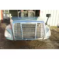 FREIGHTLINER CASCADIA Hood thumbnail 8